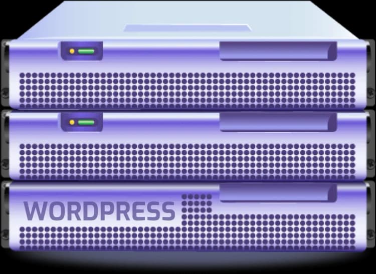 هاست وردپرس چیست؟