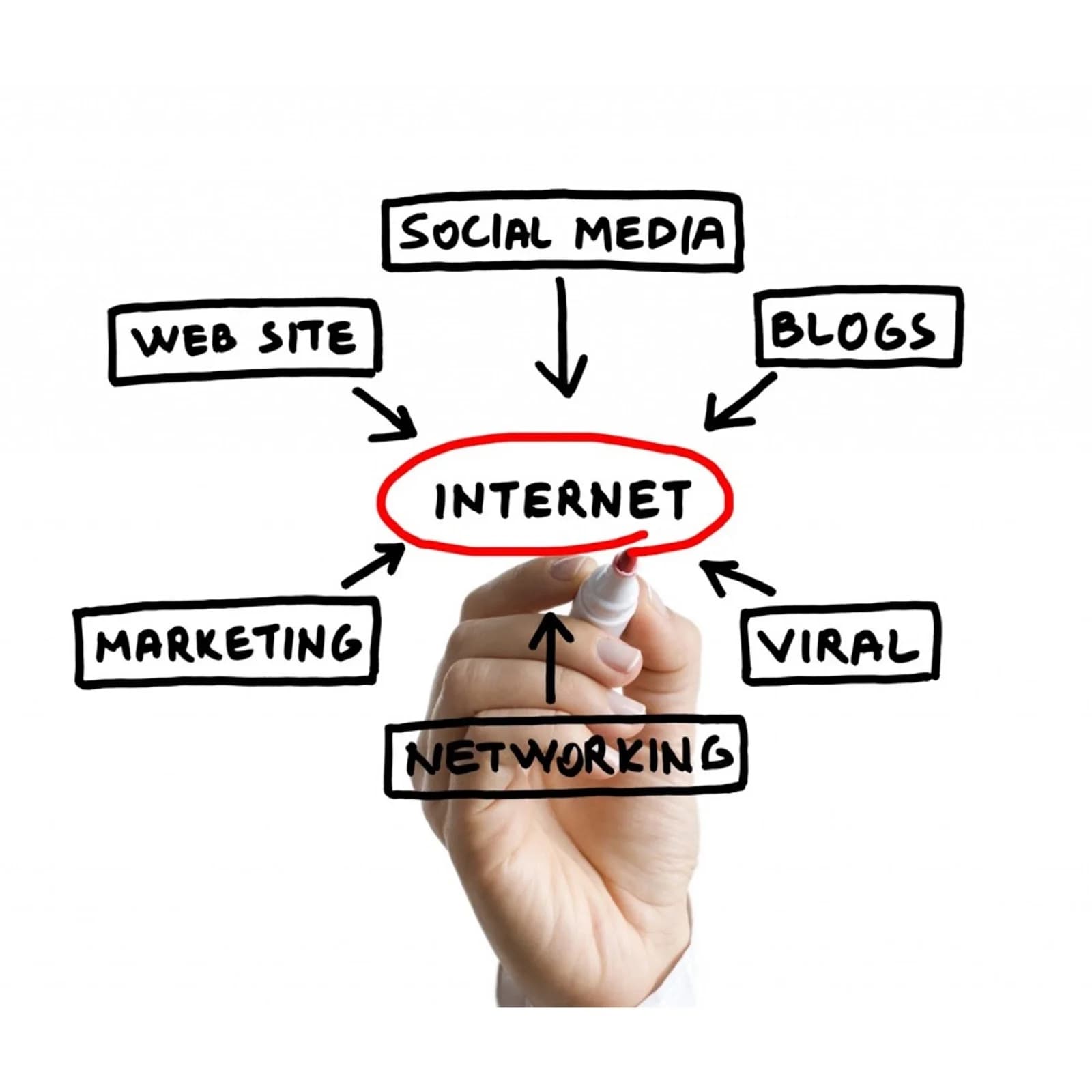 بررسی بهترین روش‌های تبلیغات اینترنتی در برتینا