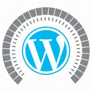 تأثیر پلاگین های وردپرس بر زمان لودشدن سایت